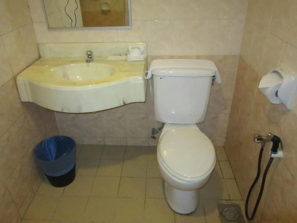 ***  Puteri Park Hotel 吉隆坡 马来西亚
